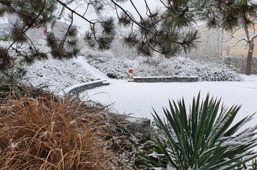 Zima v Zahradě
