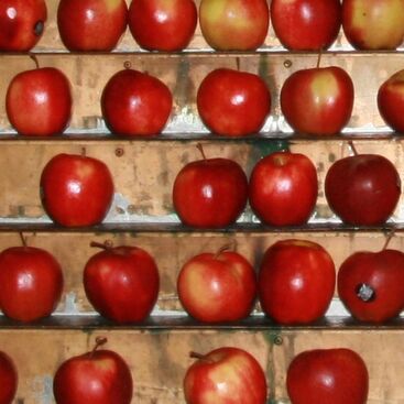 Oddělení péče o rodinu - OPORA