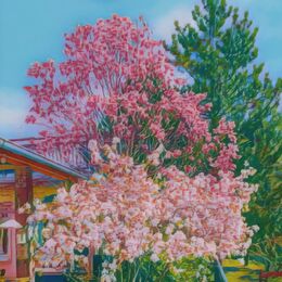 Mariana Kačeňáková