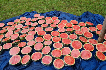 Konec školního roku - Zahradní Mulťák