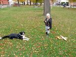 IMG-20241022-WA0012