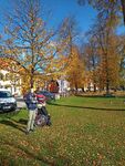 IMG-20241022-WA0018