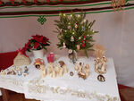 IMG_20241210_091447