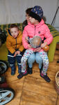 IMG-20241212-WA0023