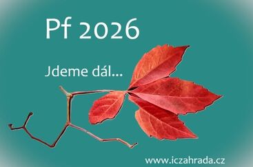 Pf 2026