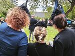IMG_20260903_140434